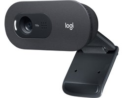 Logitech C505 - Webcam - HD Webcam
