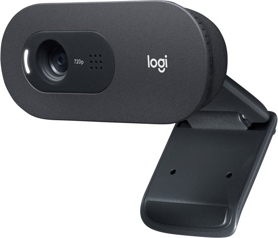 Logitech C505 - Webcam