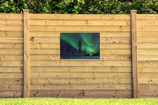 Posters de jardin Aurores boréales - Suède - Arbre - 90x60 cm