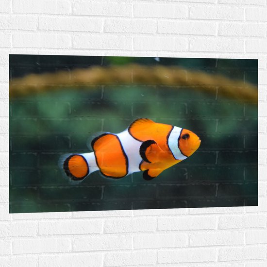 Foto: Wallclassics muursticker zwemmende nemo 105x70 cm foto op muursticker