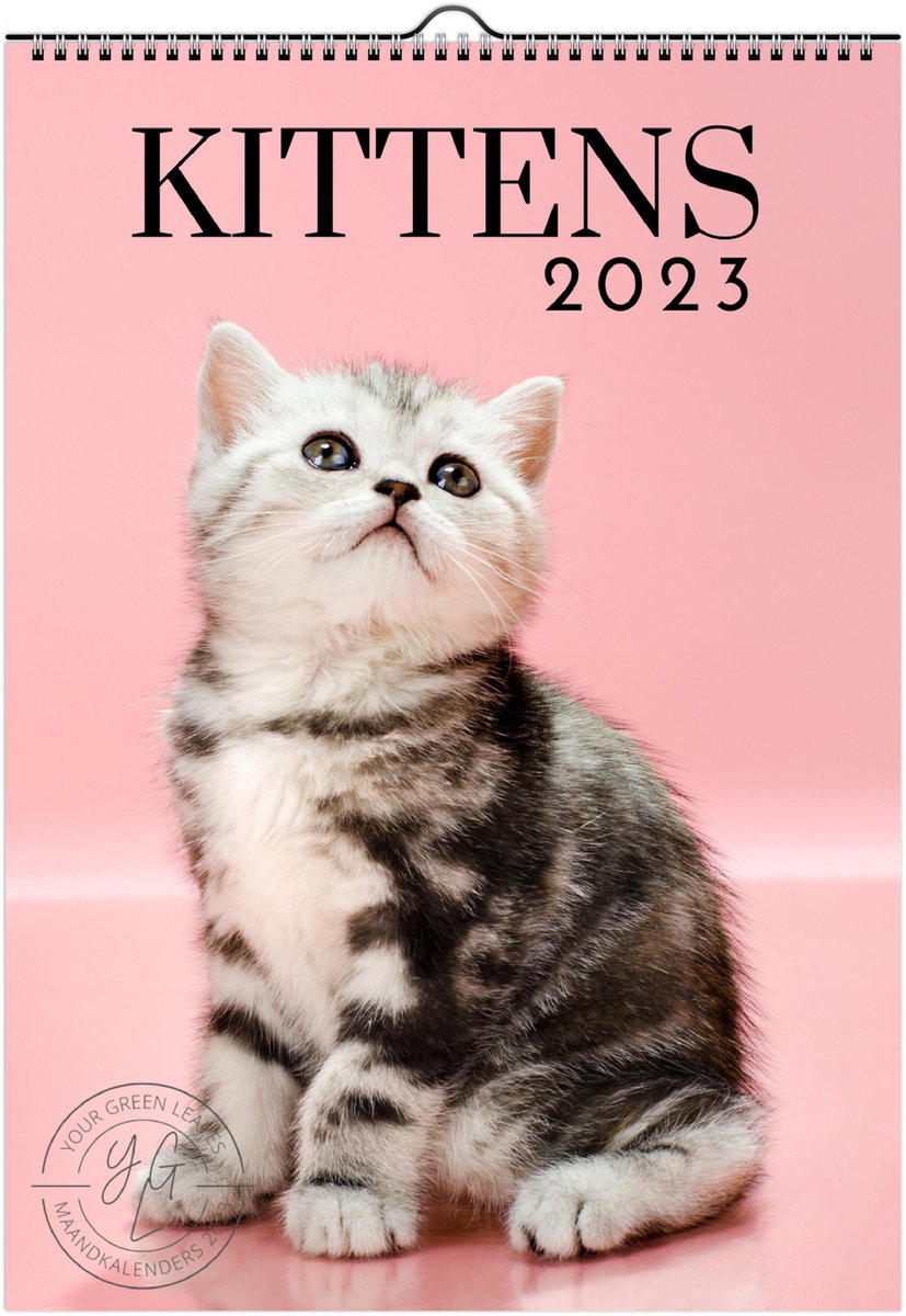 Kalender 2023 Kittens - Maandkalender 2023 - Maandplanner - Ophangbaar - Kleuren foto's - A4 (21 x 27.9 cm)