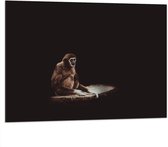 WallClassics - Dibond - Aap in het Donker - 100x75 cm Foto op Aluminium (Met Ophangsysteem)