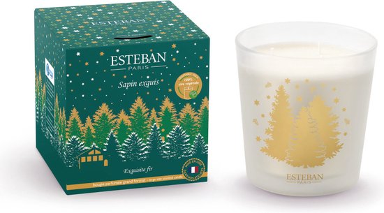 Esteban Kerst Exquisite Fir geurkaars 450gr