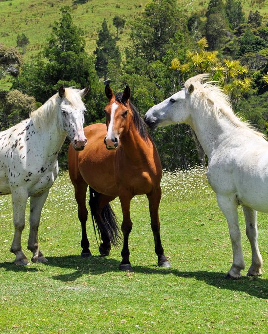 Kit De Pintura Con Diamantes Buda 40x50 Cm – Diamantes Cuadrados, Lienzo Grande, Ideal Para Manualidades Y Decoración Del Hogar