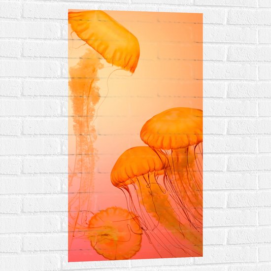 WallClassics - Muursticker - Oranje Kwallen - 50x100 cm Foto op Muursticker
