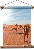 WallClassics - Textielposter - Vrolijke Kamelen in de Woestijn - 30x40 cm Foto op Textiel