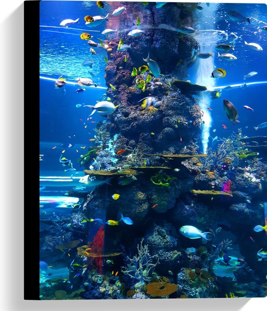 WallClassics - Canvas  - Prachtig Aquarium met mooie Vissen - 30x40 cm Foto op Canvas Schilderij (Wanddecoratie op Canvas)