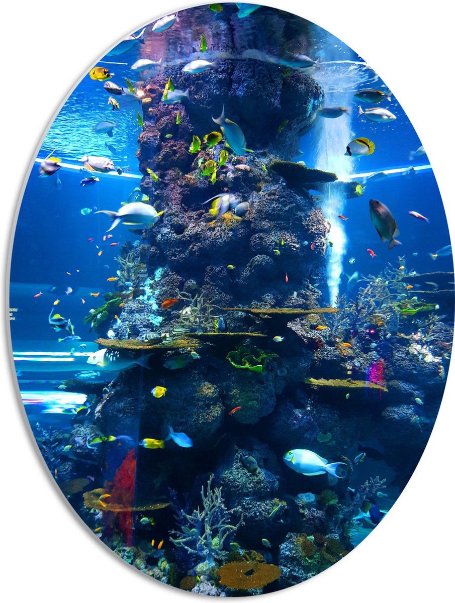 PVC Schuimplaat Ovaal - Prachtig Aquarium met mooie Vissen - 42x56 cm Foto op Ovaal (Met Ophangsysteem)