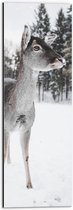 WallClassics - Dibond - Hertje in de Winter - 20x60 cm Foto op Aluminium (Wanddecoratie van metaal)