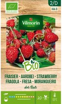Vilmorin - Aardbei des bois BIO - V466B