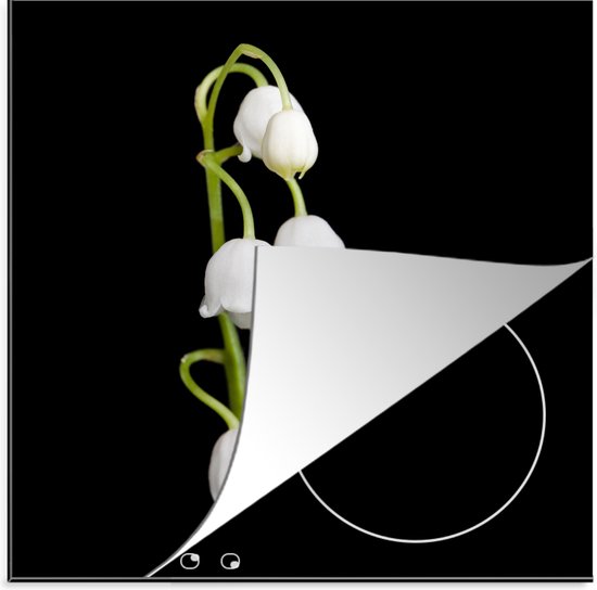 Rittal Scharnier deksel - 4028177938069