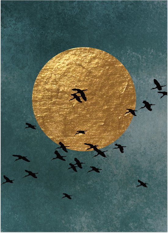 Birds By Night - Poster - A2 - 42 x 59.4 cm