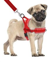 Hondentuigje - voor hele kleine honden - rood - maat XS - no pull tuigje - reflecterend - super zachte fleece voering