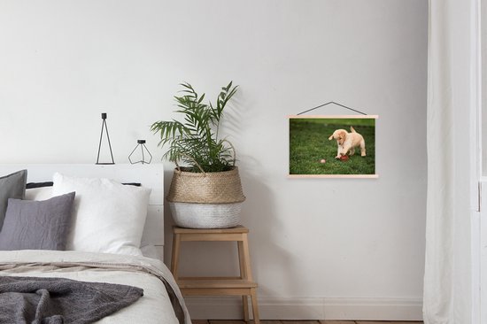 Puppy joue avec la balle affiche textielposter lattes vierge 60x40 cm