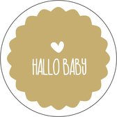 sticker Hallo Baby sluitzegels cadeausticker geboorte kaartje 12 stuks