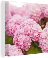 Canvas - Hortensia - Bloemen - Plant - Roze - 90x90 cm - Canvas doek - Canvas schilderijen natuur - Kamer decoratie