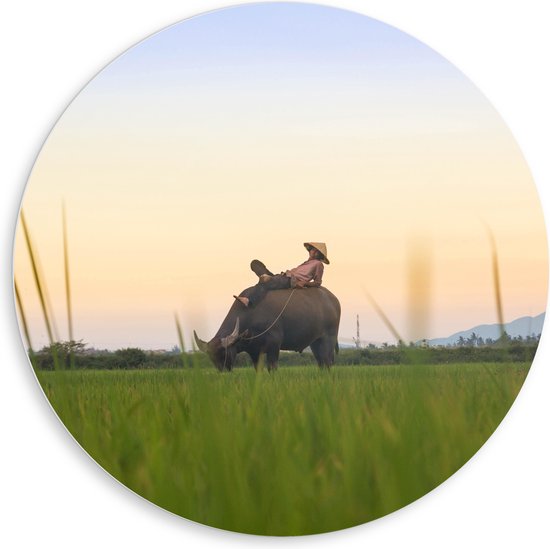 WallClassics - Cercle Mural en Plaque de Mousse PVC - Fermier Asiatique Laissez le Taureau Faire le Travail - 80x80 cm Photo sur Cercle Mural (avec système d'accrochage)