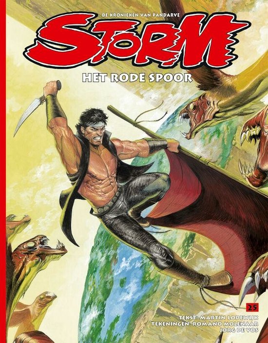 Cover van het boek 'Storm / 25. Het Rode Spoor' van Martin Lodewijk