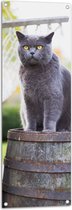 WallClassics - Tuinposter – Grijze Kat op een Ton - 40x120 cm Foto op Tuinposter  (wanddecoratie voor buiten en binnen)