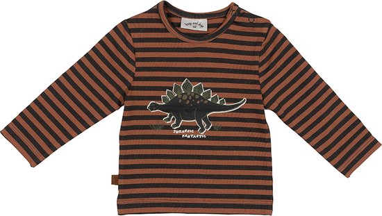 Frogs and Dogs - Dino Park Shirt Yarn Dyed Dino - Jongens