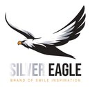 Silver Eagle Draadloze Gekleurde Normale Muizen