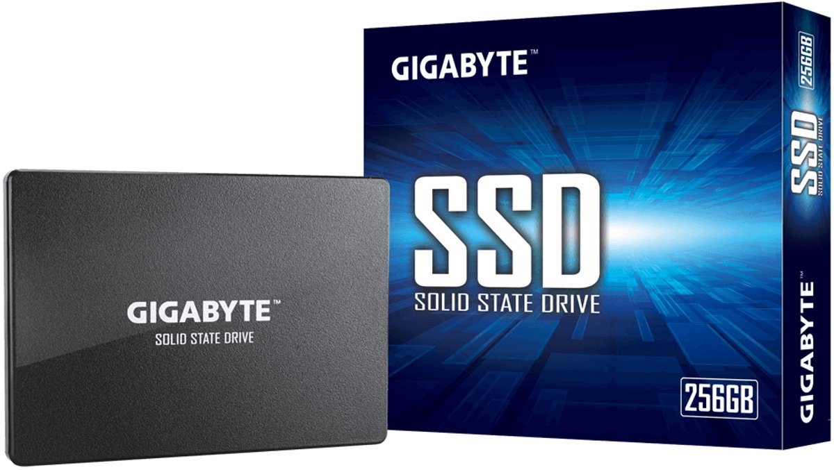 Hard Drive Gigabyte GP-GSTFS31256GTND 256 GB SSD