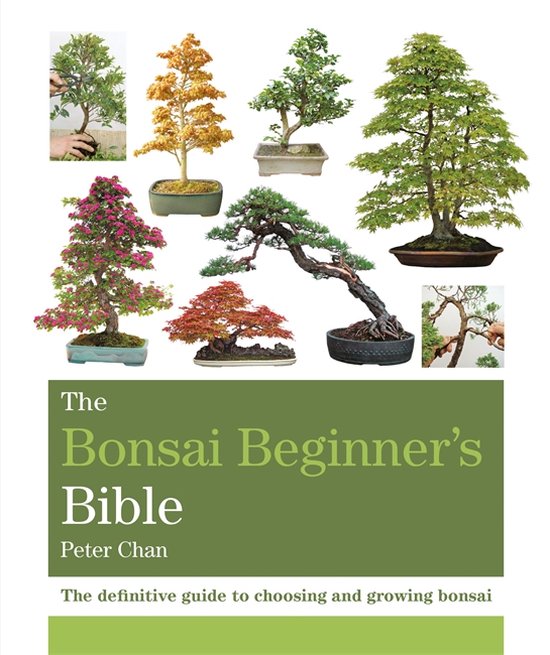 Foto: The bonsai beginner s bible