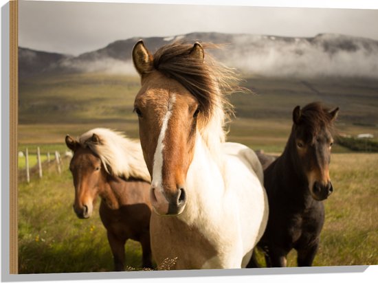 WallClassics - Hout - Drie Paarden op een Heuvel - 80x60 cm - 12 mm dik - Foto op Hout (Met Ophangsysteem)
