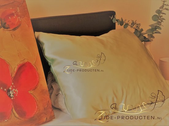 Zijden kussensloop, 100% moerbei zijde, hoogste kwaliteit (6A grade) 19 Momme. Kleur beige, maat 60x70