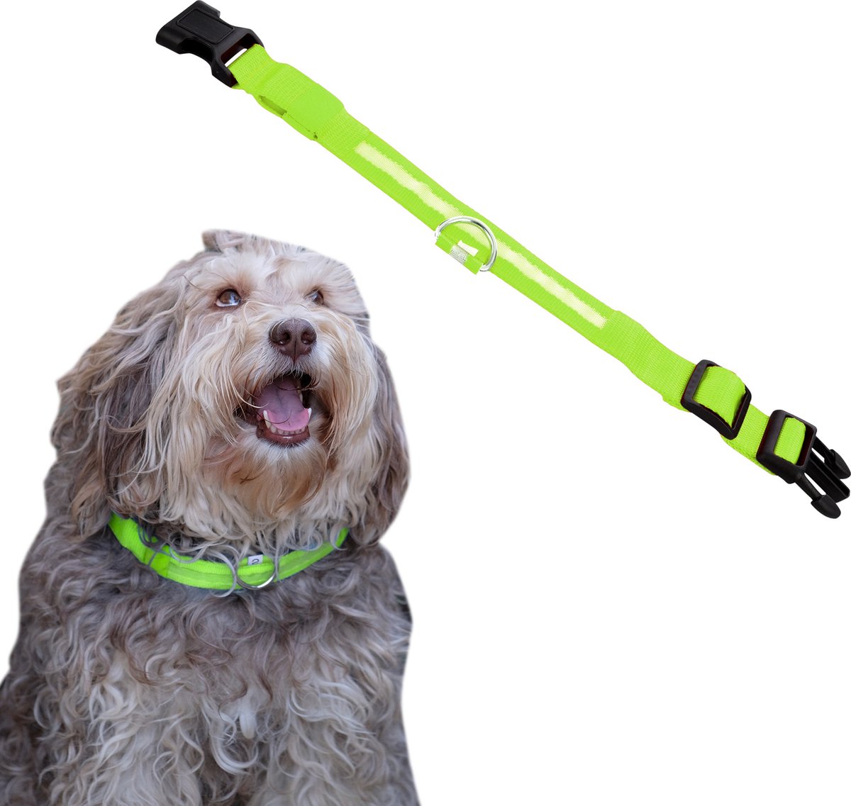 Dutchwide Lichtgevende Halsband Hond Extra Sterk S 34 cm tot 41 cm - Hondenhalsband - Klikhalsband - Verstelbaar - Reflecterend