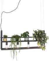 QAZQA cage rack - Table à manger avec lampe suspendue industrielle pour au-dessus de la table à manger | en salle à manger - 4 lumières - L 100 cm - Zwart - Industriel - Salon | Chambre à coucher | Cuisine