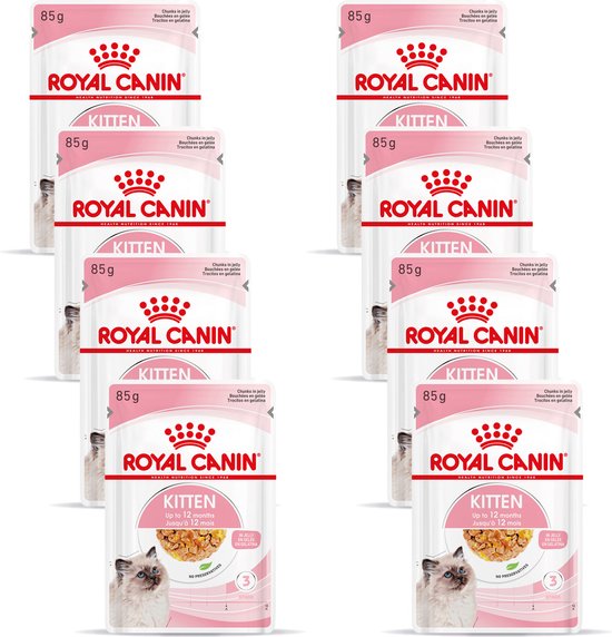 Schesir - Kattenvoer in Gelei - 85 Gram - garnaal, tonijn