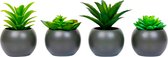 Atmosphera Kunstplant - Nepplant - Grijs - Set van 4 - Voor Binnen - Met Pot - Rond