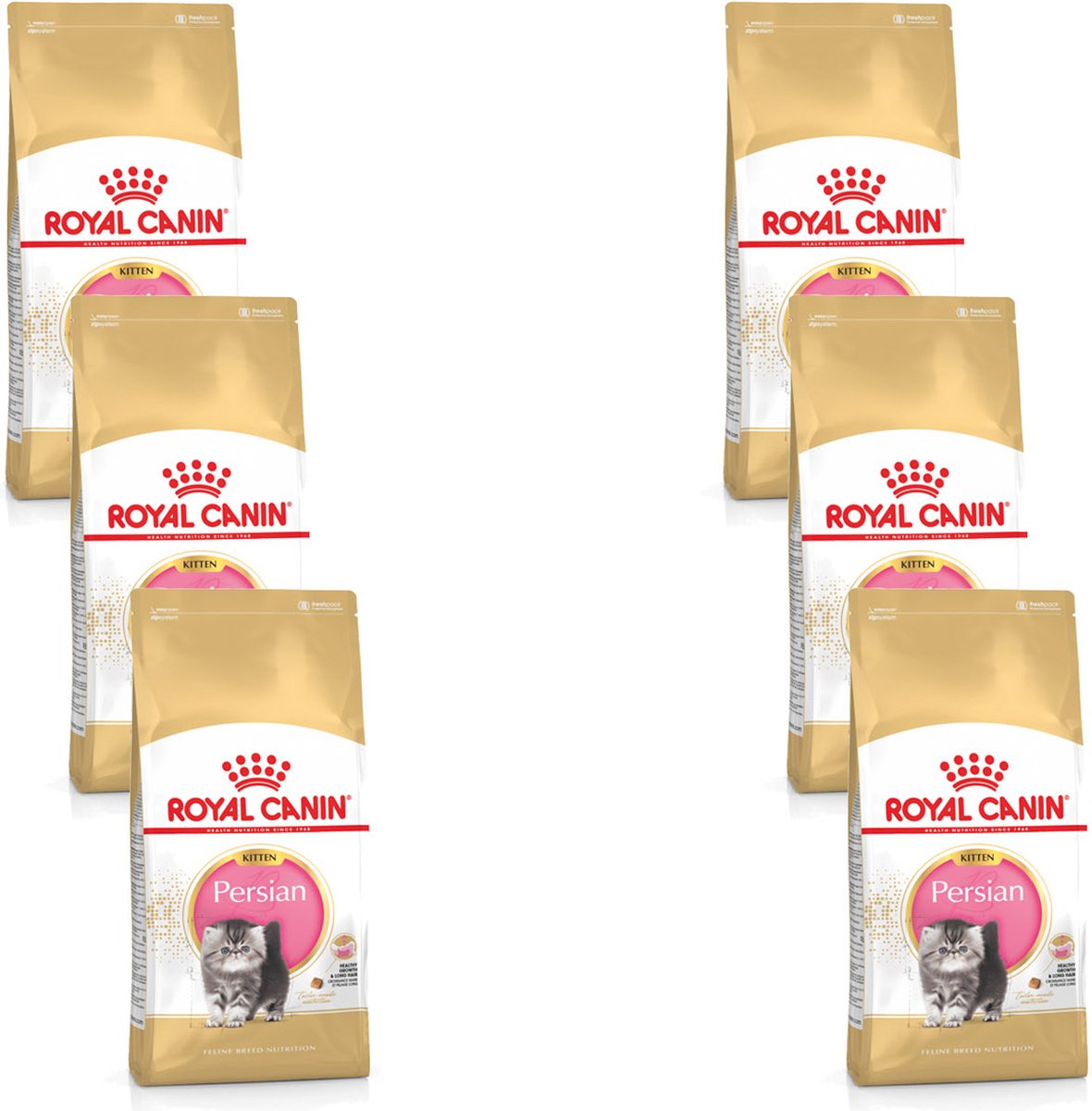 Royal Canin Persian Kitten – Kitten-Kattenvoer – 6 x 2 kg