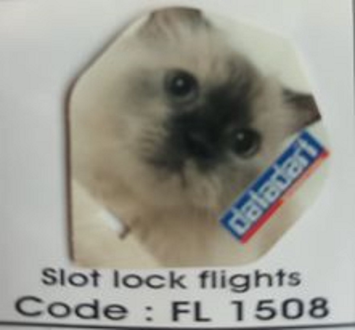 Dart Flights - 10 sets (30 stuks) - 75 micron - Slot Lock Flights