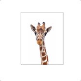 PosterDump - Safari dieren giraffe - Baby / kinderkamer vlinder - Dieren poster - 70x50cm