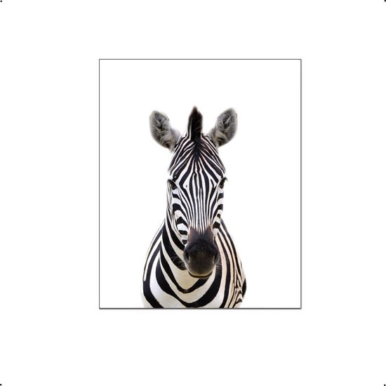 PosterDump - Safari dieren zebra - Baby / kinderkamer poster - Dieren poster - 30x21cm / A4