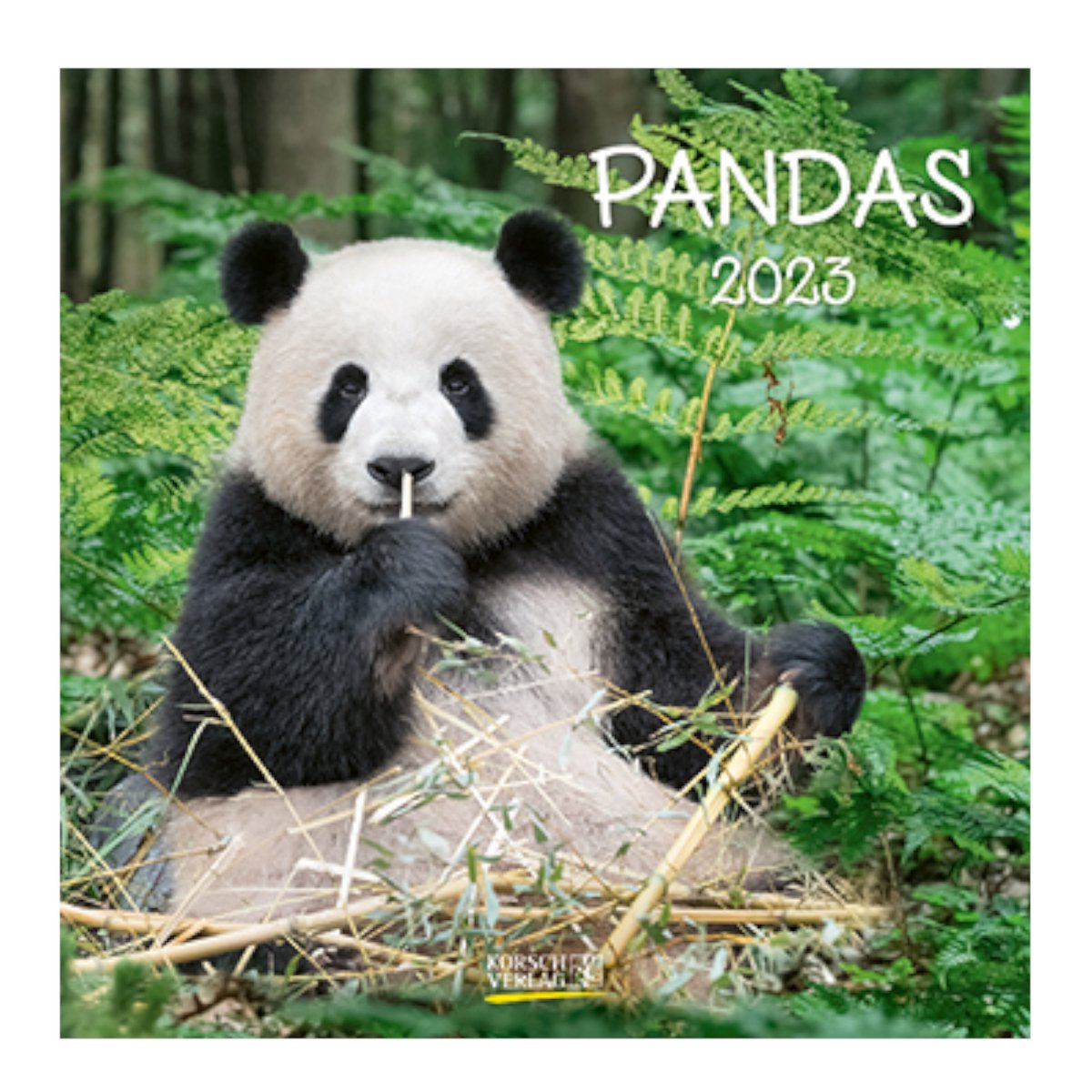 Panda's Kalender 2023 - 30x30cm