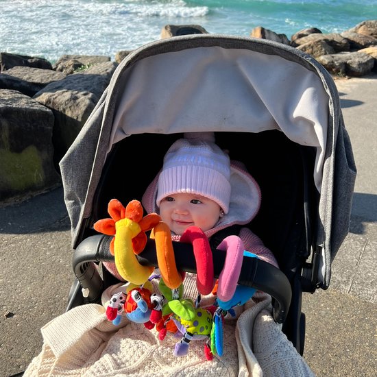 Playgro Boxspiraal Amazing Garden Twirly Whirly - Kinderwagen Speeltje - Speelgoed baby - Baby speelgoed - Activiteitenspiraal baby speelgoed 6 maanden -baby speelgoed 1 jaar - Baby kinderwagen