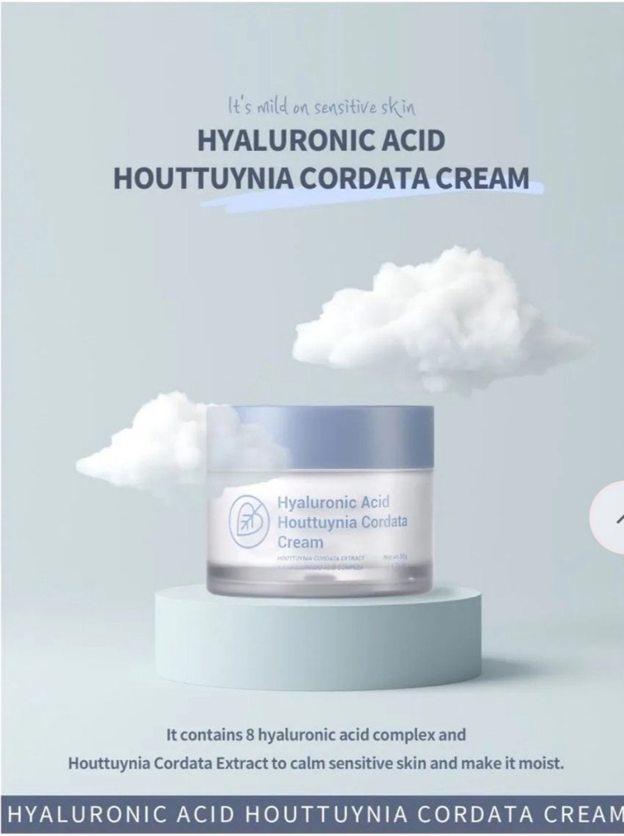 esfolio hyaluronic acid houttuynia cordata cream - dagcrème met hyaluronzuur - moisturizer - Korean skincare- huidverzorging- gezichtscrème- gezichtsverzorging -