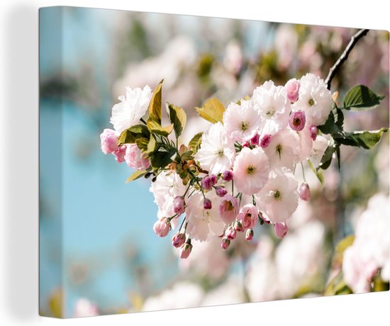 Blossom in spring Canvas 120x80 cm - Tirage photo sur toile (Décoration murale salon / chambre) / Peintures Fleurs sur toile