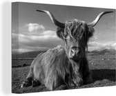 Canvas Schilderij Liggende Schotse hooglander - zwart wit - 120x80 cm - Wanddecoratie