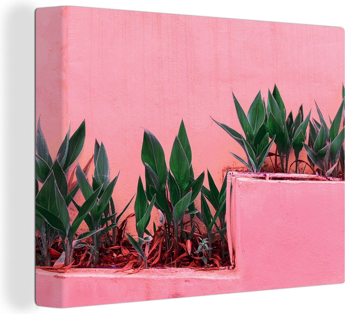 Canvas Schilderij Planten - Zomer - Verf - 40x30 cm - Wanddecoratie