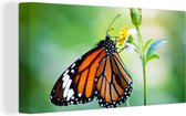 Canvas Schilderij Vlinder - Bloemen - Insecten - 80x40 cm - Wanddecoratie