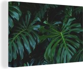 Canvas Schilderij Monstera - Bladeren - Tropisch - Jungle - 120x80 cm - Wanddecoratie