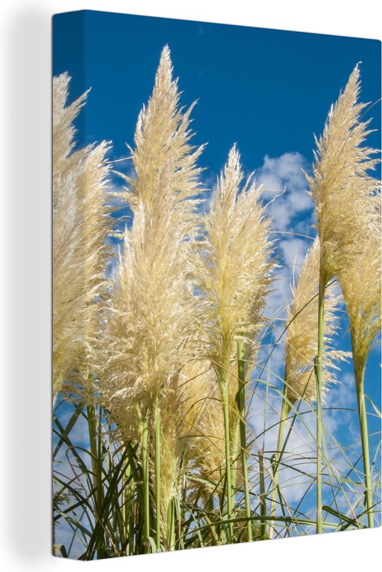 Peinture sur Toile Herbe de Pampa - Plante - Nature - 30x40 cm - Décoration murale