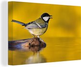 Canvas Schilderij Koolmees - Vogel - Water - 60x40 cm - Wanddecoratie