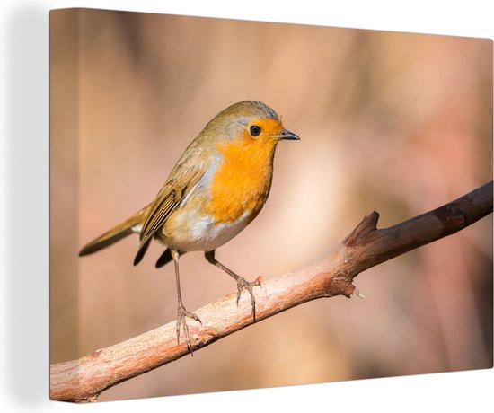 Toile Peinture Vogel - Branche - Rouge-gorge - 120x80 cm - Décoration murale