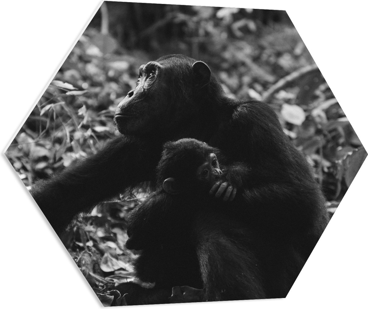 PVC Schuimplaat Hexagon - Chimpansee met Baby Zwart / Wit - 80x69.6 cm Foto op Hexagon (Met Ophangsysteem)