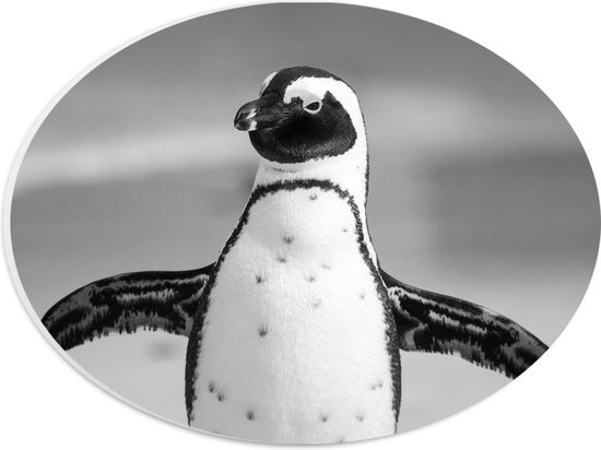 WallClassics - PVC Schuimplaat Ovaal - Vrolijke Pinguïn Zwart / Wit - 28x21 cm Foto op Ovaal  (Met Ophangsysteem)